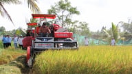 Trà Vinh: Nhiều hợp tác xã cơ giới hóa 100% trong sản xuất lúa