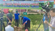 Vĩnh Long sẽ trồng thêm khoảng 30.000 cây xanh phân tán