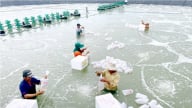 Trà Vinh: Sản lượng thu hoạch thủy sản đạt hơn 101.500 tấn