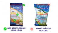 Thương hiệu gạo Việt bị ‘ăn theo’ xứ người