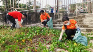 Ngày hội Môi trường Biển Đà Nẵng 2025: Hành động vì Biển xanh