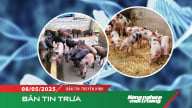 Thúc đẩy bảo tồn nguồn gen phục vụ phát triển nông nghiệp bền vững