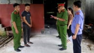Khởi tố 2 đối tượng mua bán, tiêu thụ lợn nhiễm bệnh dịch tả Châu Phi