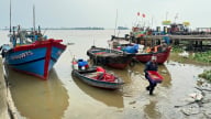 Phát triển đội tàu công suất lớn để gia tăng hiệu quả khai thác hải sản