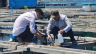 Quan trắc môi trường góp phần phát triển nuôi trồng thủy sản bền vững