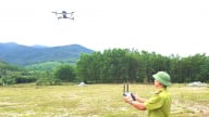 Tuần tra, giám sát rừng bằng drone