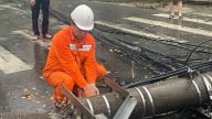 Thái Nguyên dọn dẹp cột điện, cây xanh gãy đổ sau bão số WIPHA