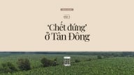 Nỗi đau của đất: [Bài 2] 'Chết đứng' ở Tân Đông