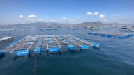Nâng cao ý thức bảo vệ môi trường vùng nuôi trồng thủy sản: [Bài 3] Tiền đề phát triển bền vững