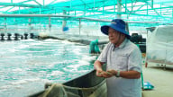 Thách thức xuất khẩu thủy sản: [Bài 2] Chuyển hướng
