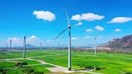 Đầu tư xanh từ khu vực tư nhân Việt Nam đạt 161 triệu USD năm 2024