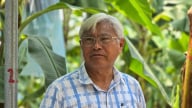 Tâm nguyện cuối cùng ở Bời Lời của 'vua chuối' Võ Quan Huy