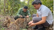 Bảo tồn và giữ gìn màu xanh cánh rừng Mường Nhé