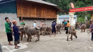 Xã biên giới làm tốt phong trào Vì người nghèo