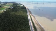 Trà Vinh đặt mục tiêu trồng mới 100ha rừng phòng hộ