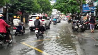 TP.HCM rà soát hệ thống cây xanh, bảo đảm an toàn mùa mưa bão