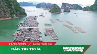 Giao biển cho nuôi trồng thủy sản không quá 50 năm