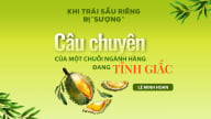 Câu chuyện của một chuỗi ngành hàng đang tỉnh giấc