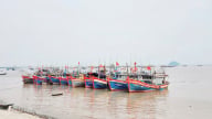 Thanh Hóa công bố 25 thủ tục hành chính trong lĩnh vực thủy sản