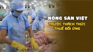 Xuất khẩu cá tra hướng tới các thị trường tiềm năng