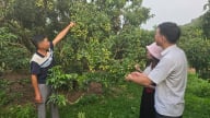 [Bài 2] Liên kết bền vững giữa doanh nghiệp, hợp tác xã và nông dân