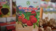500 lò sấy sẵn sàng đón mùa vải