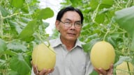 Khuyến nông Hậu Giang hỗ trợ người dân phát triển nông nghiệp công nghệ cao