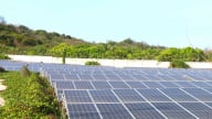 TP.HCM phát triển điện sạch, năng lượng xanh