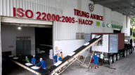 Việt Nam chuẩn bị xuất khẩu lô gạo phát thải thấp đầu tiên