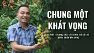 Chung một khát vọng - Vì một thương hiệu vải thiều thị xã Chũ phát triển bền vững