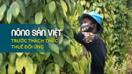 Hồ tiêu vẫn làm chủ cuộc chơi