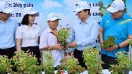 Sơn La phát động chuỗi hoạt động vì môi trường xanh