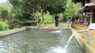 Xây dựng chuỗi thương hiệu nông nghiệp đặc trưng Làng Nủ