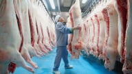 Chấn chỉnh công tác kiểm soát giết mổ, đặc biệt với lợn chết, bệnh