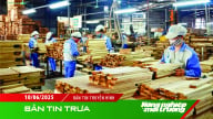 Xuất khẩu gỗ tăng mạnh tại thị trường Tây Ban Nha