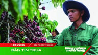 Giá cà phê biến động trái quy luật