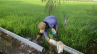 Vĩnh Long: Hơn 38 tỷ đồng được duyệt để mua thiết bị cấp nước nông thôn