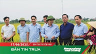 Vụ đông xuân thắng lợi ở nhiều tỉnh phía Bắc