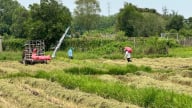 TP.HCM ban hành giá thóc thu thuế sử dụng đất nông nghiệp