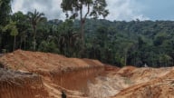 Brazil kiện thỏa thuận carbon 180 triệu USD vì thiếu tiếng nói người bản địa Amazon