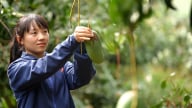Tây Bắc kết nối để nâng tầm nông sản