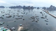 Chuyển đổi số để quản lý tàu cá tại Quảng Ninh