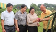 Đại sứ nước Lào ngưỡng mộ mô hình phát triển của Tiến Nông