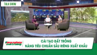 Cải tạo đất trồng, nâng tiêu chuẩn sầu riêng xuất khẩu