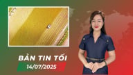 Đề án 1 triệu ha lúa chất lượng cao là niềm tự hào của Việt Nam
