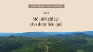 Một đời giữ lại cho dược liệu quý