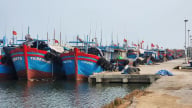 Thanh Hóa kiểm soát IUU, hướng tới phát triển bền vững
