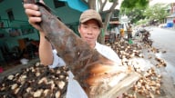 Măng tre núi Cấm - Sản vật hút hàng