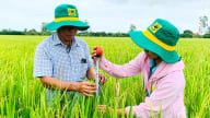 Thúc đẩy thành lập Trung tâm Khuyến nông vùng ĐBSCL