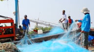 An Giang đồng loạt ra quân chống khai thác IUU, quyết tâm gỡ 'thẻ vàng'